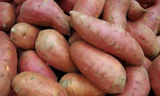 Batata Doce - Foto: Paul Pellegrino/Shutterstock